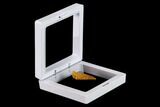 2.75" (Small) Floating Frame Display Cases With Stands - White - Photo 6